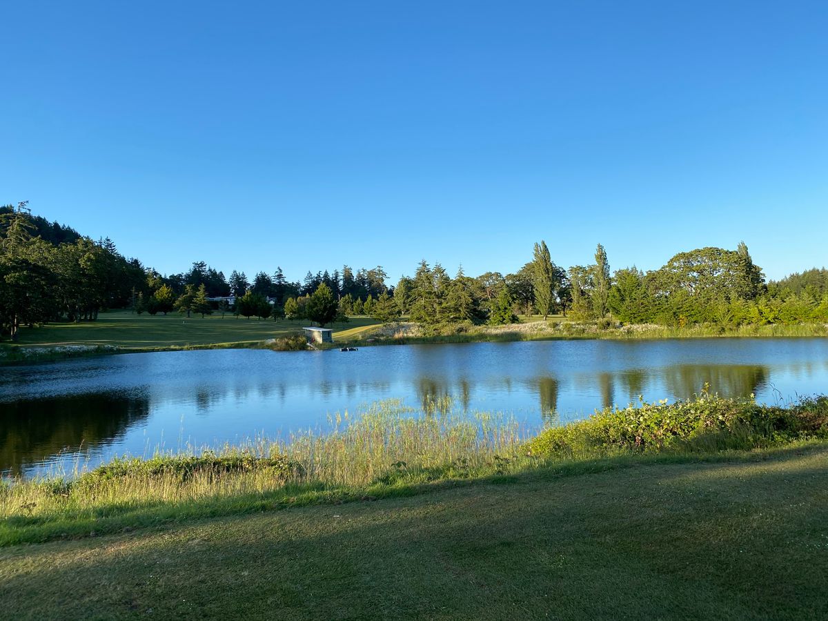 The lagoon