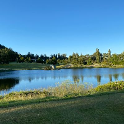 The lagoon