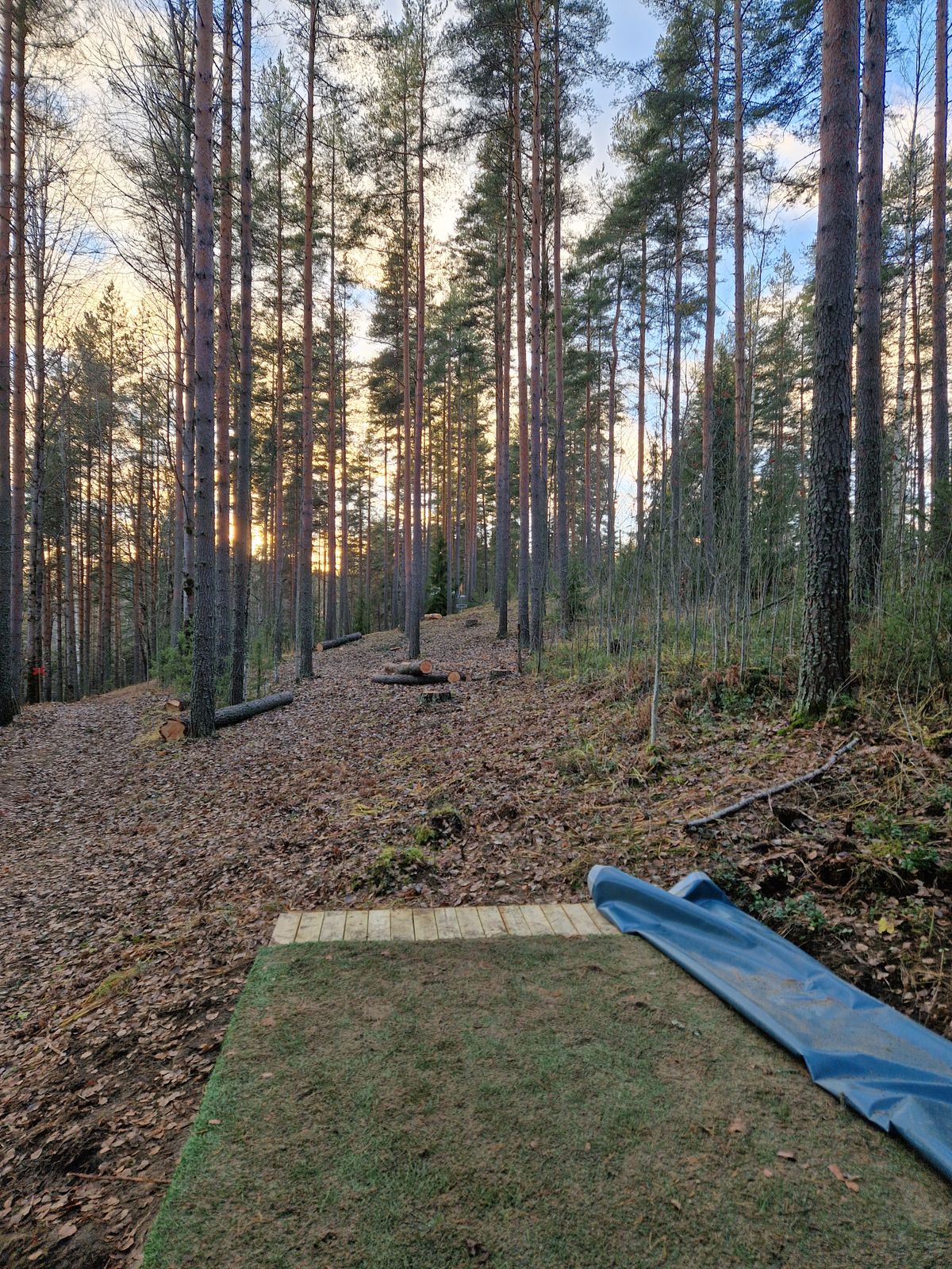 Am tee 18