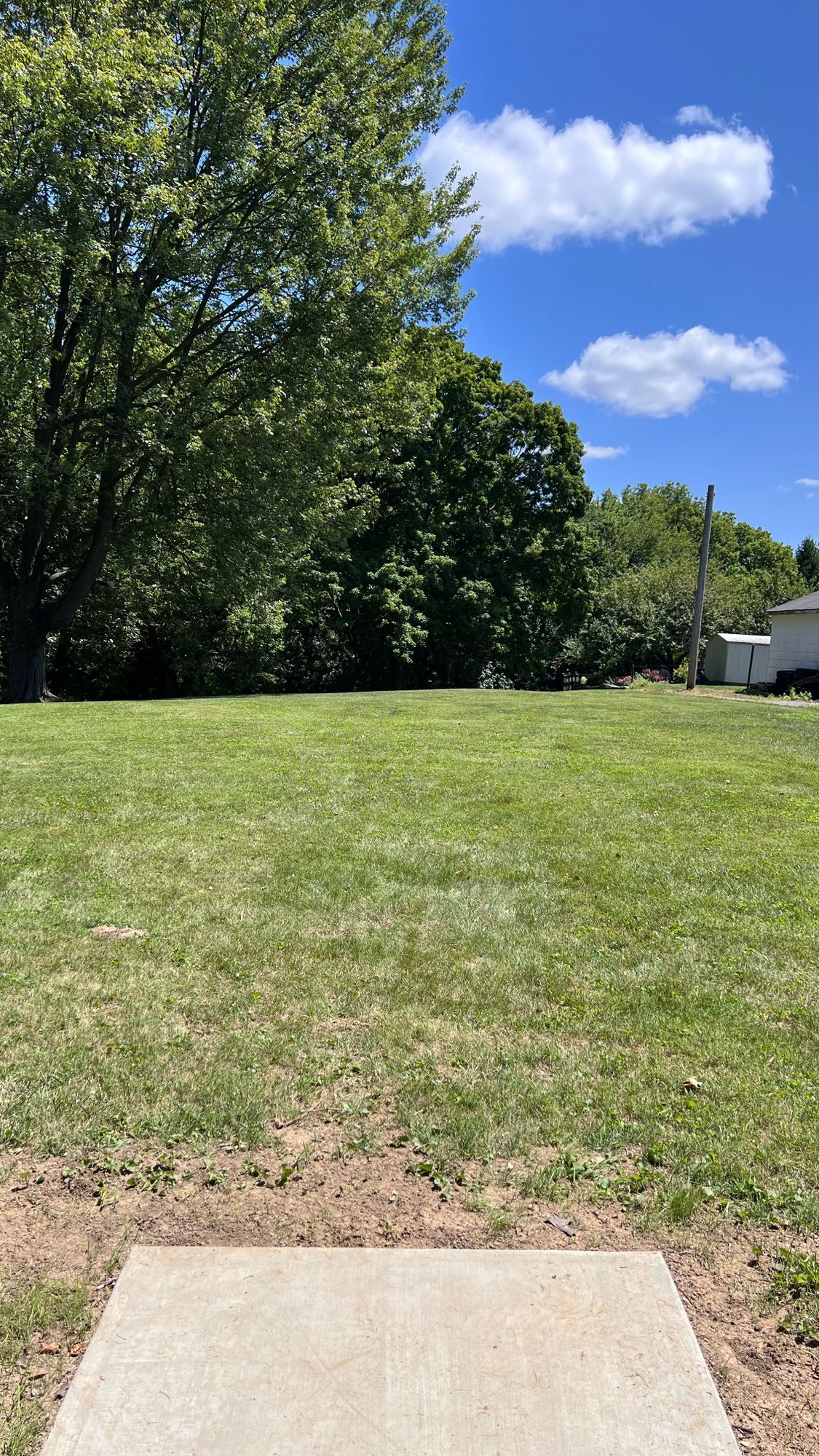 Hole 5 tee.