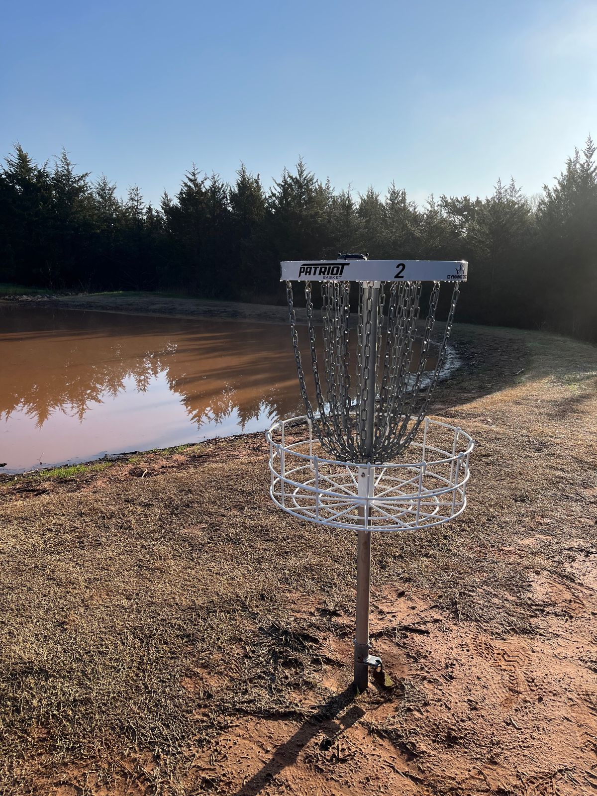 Love the pond in the morning!