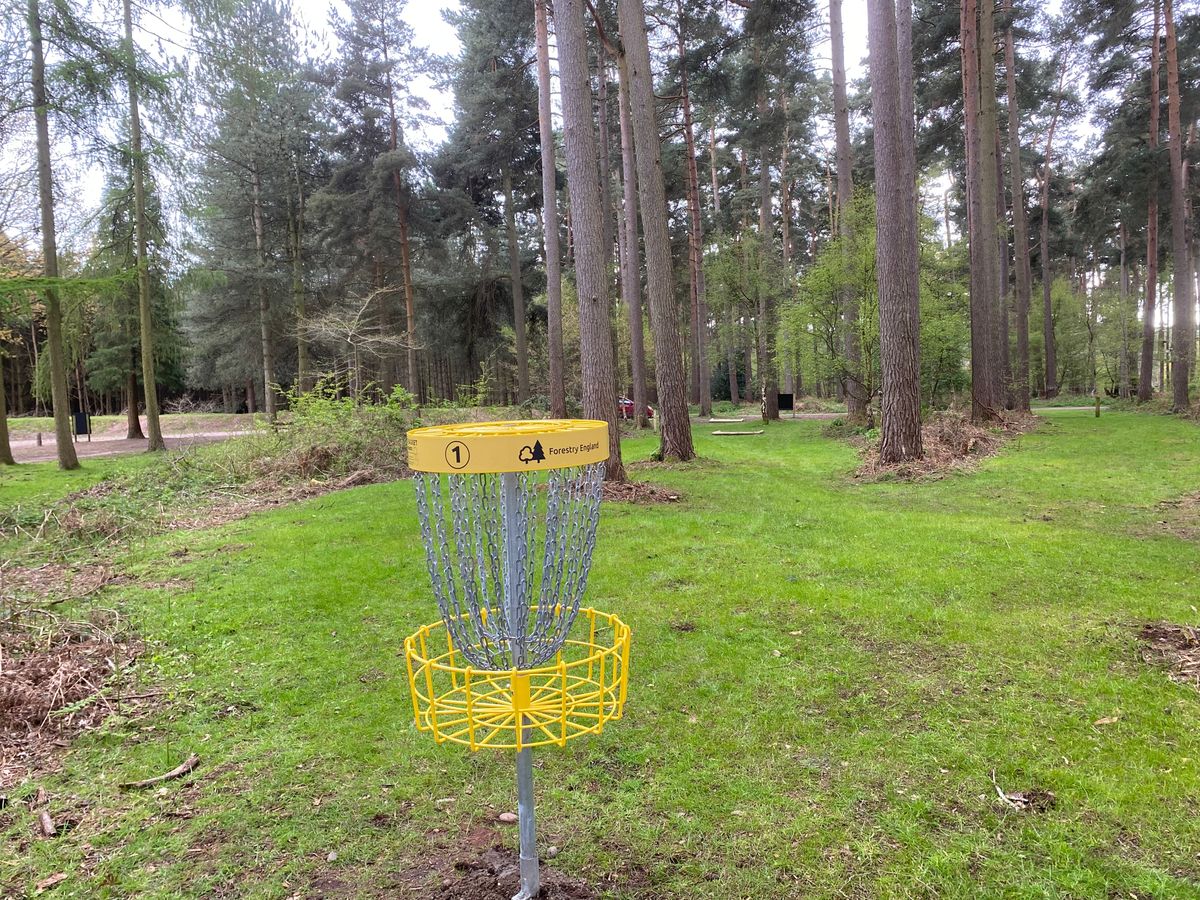Basket 1 looking back down the fairway