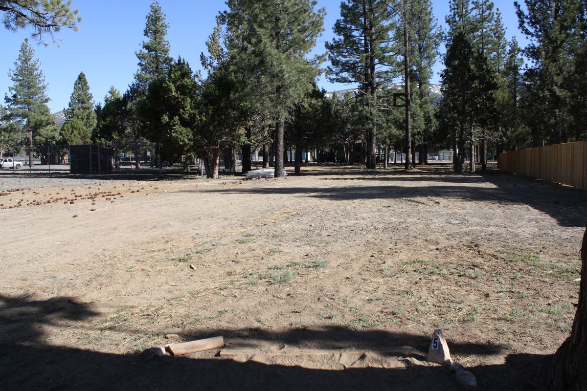 Hole 5 tee