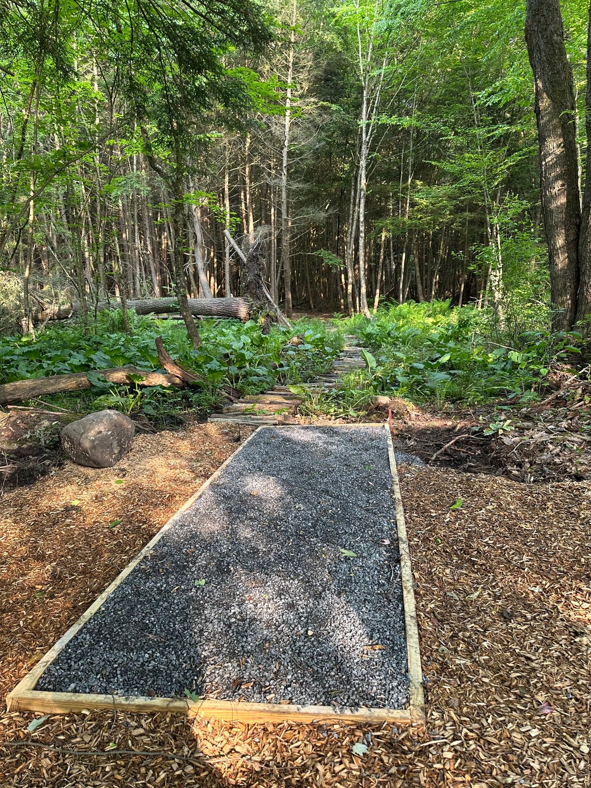 Hole 3 Red tee