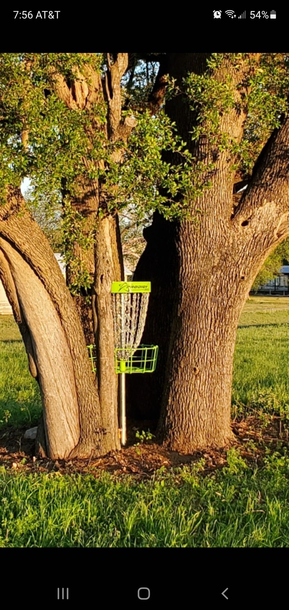 Hole 11