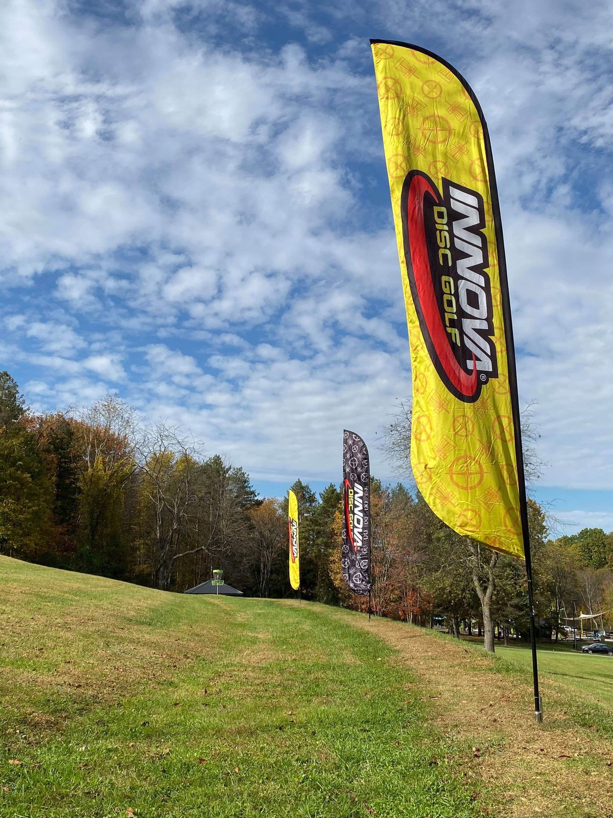 Hole 17B pin