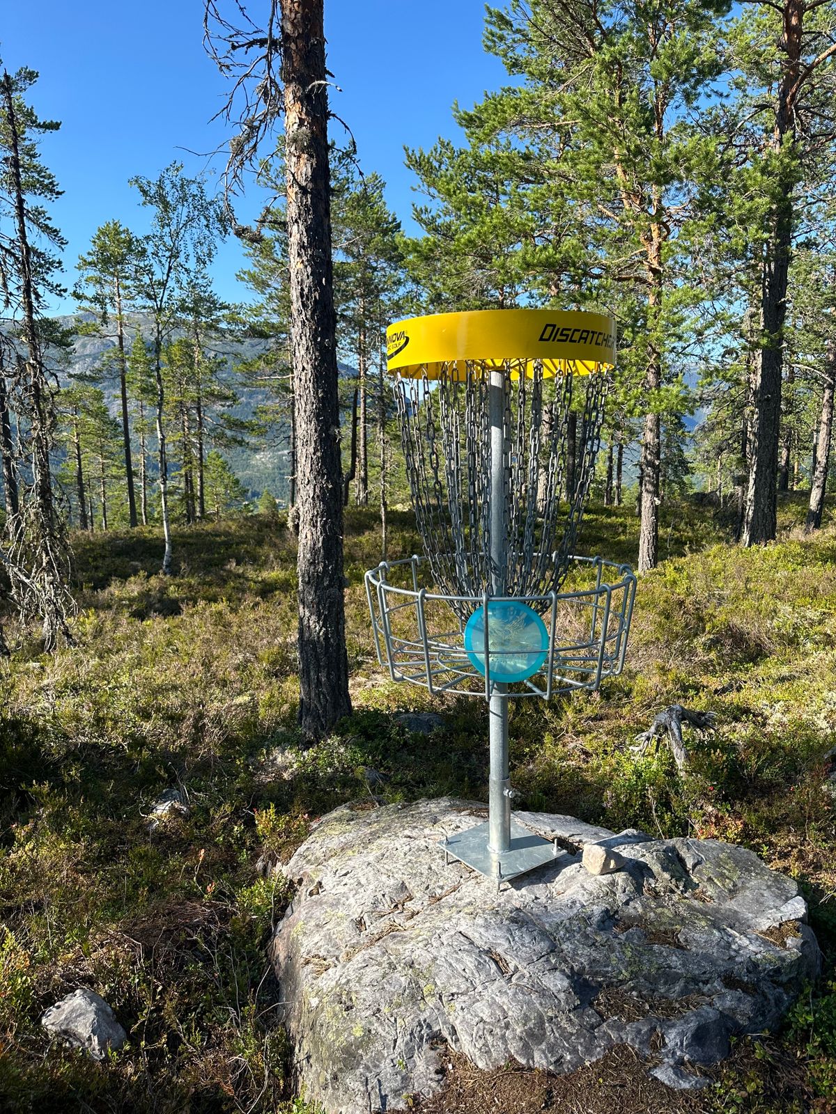 Hole 3