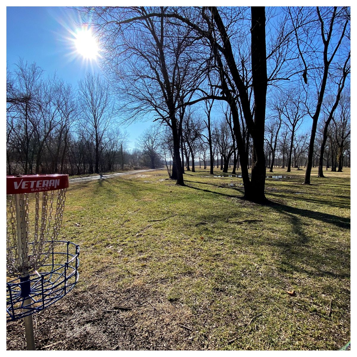 #11 green looking back to Tee