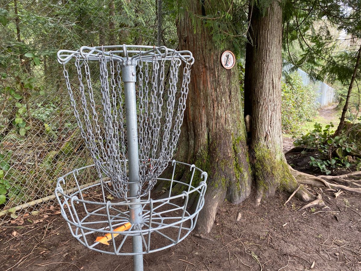 #1 is a Classic Dan Walker basket, made proudly on Vancouver island