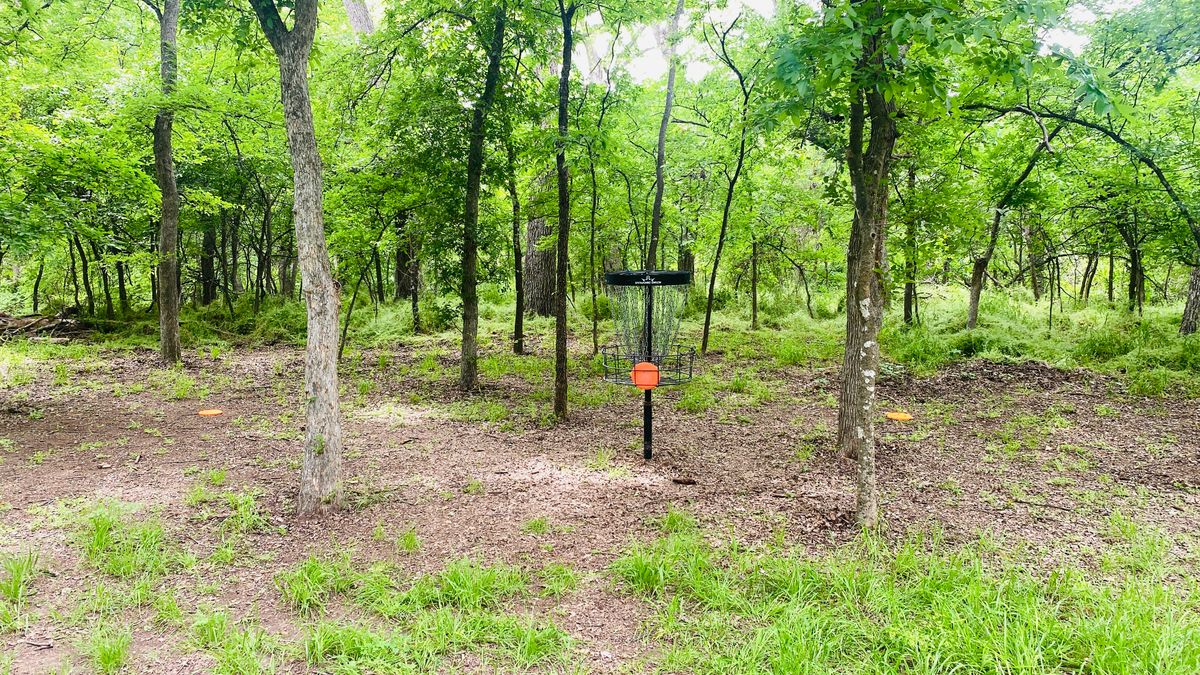 Bring some mosquito repellent for the holes in the trees near the swampy area!