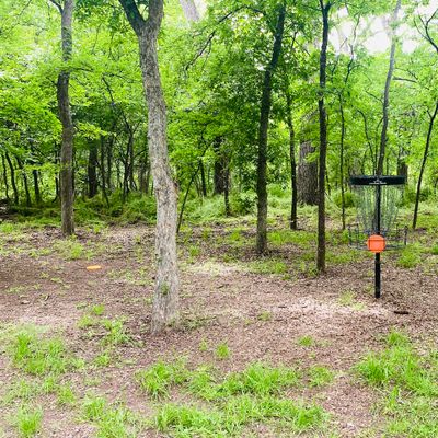 Bring some mosquito repellent for the holes in the trees near the swampy area!