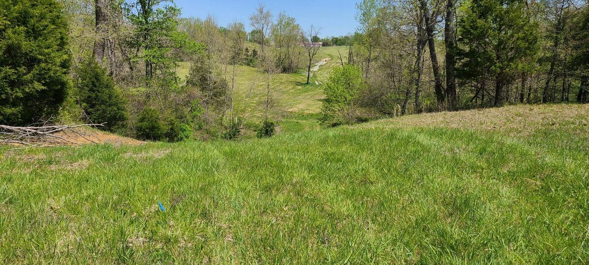 Hole 16 tee