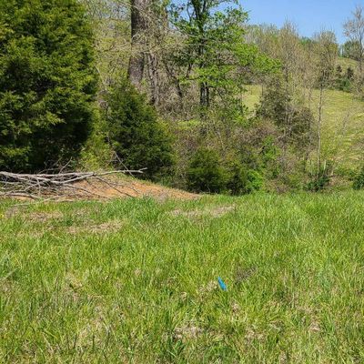 Hole 16 tee
