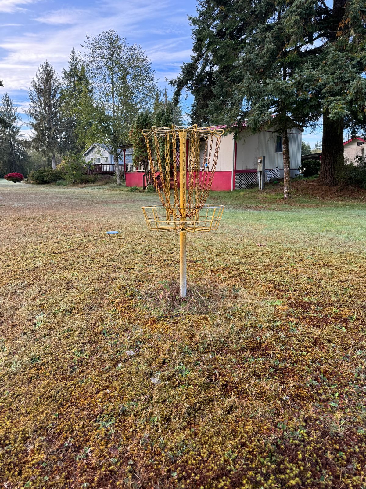 Basket - Hole 1