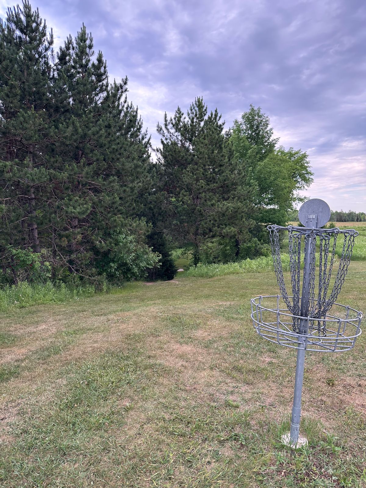 Hole #9