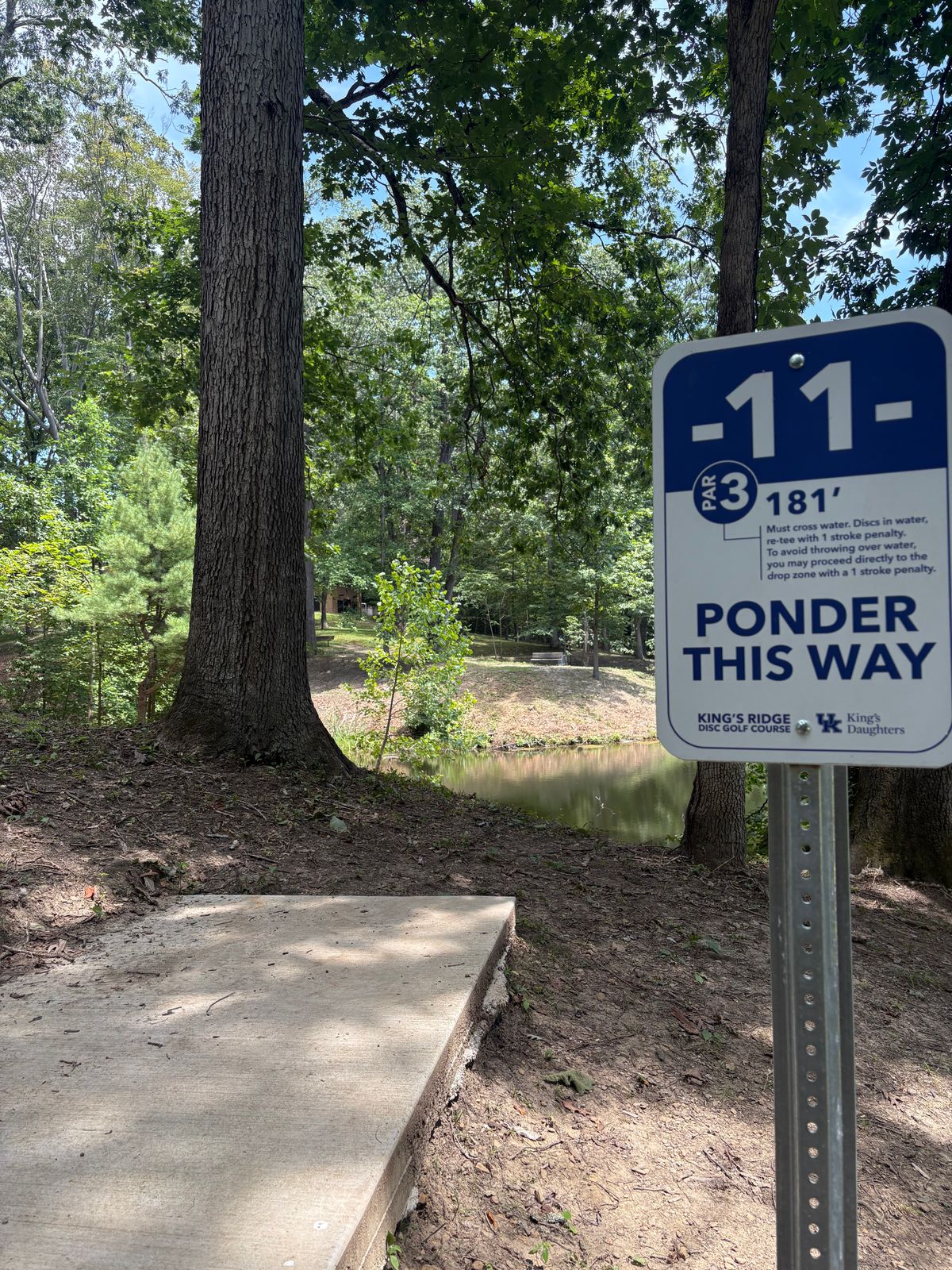 Hole 11 - across water again but much easier.