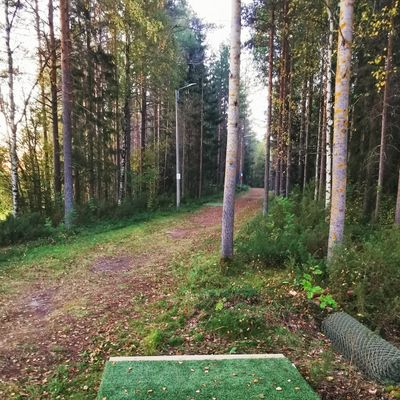 Utkast hål 2, forehand eller backhand linje?