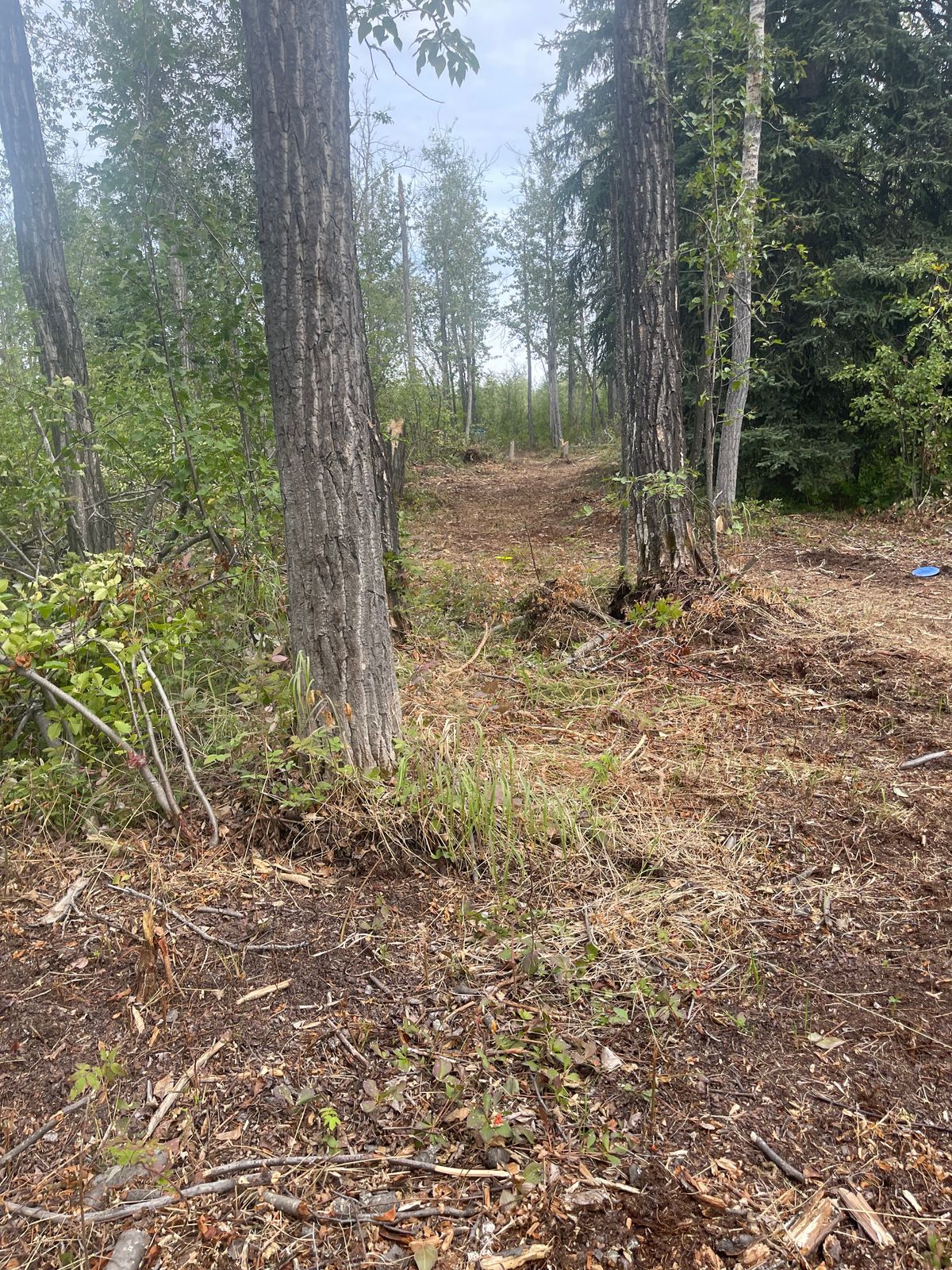 Hole 8