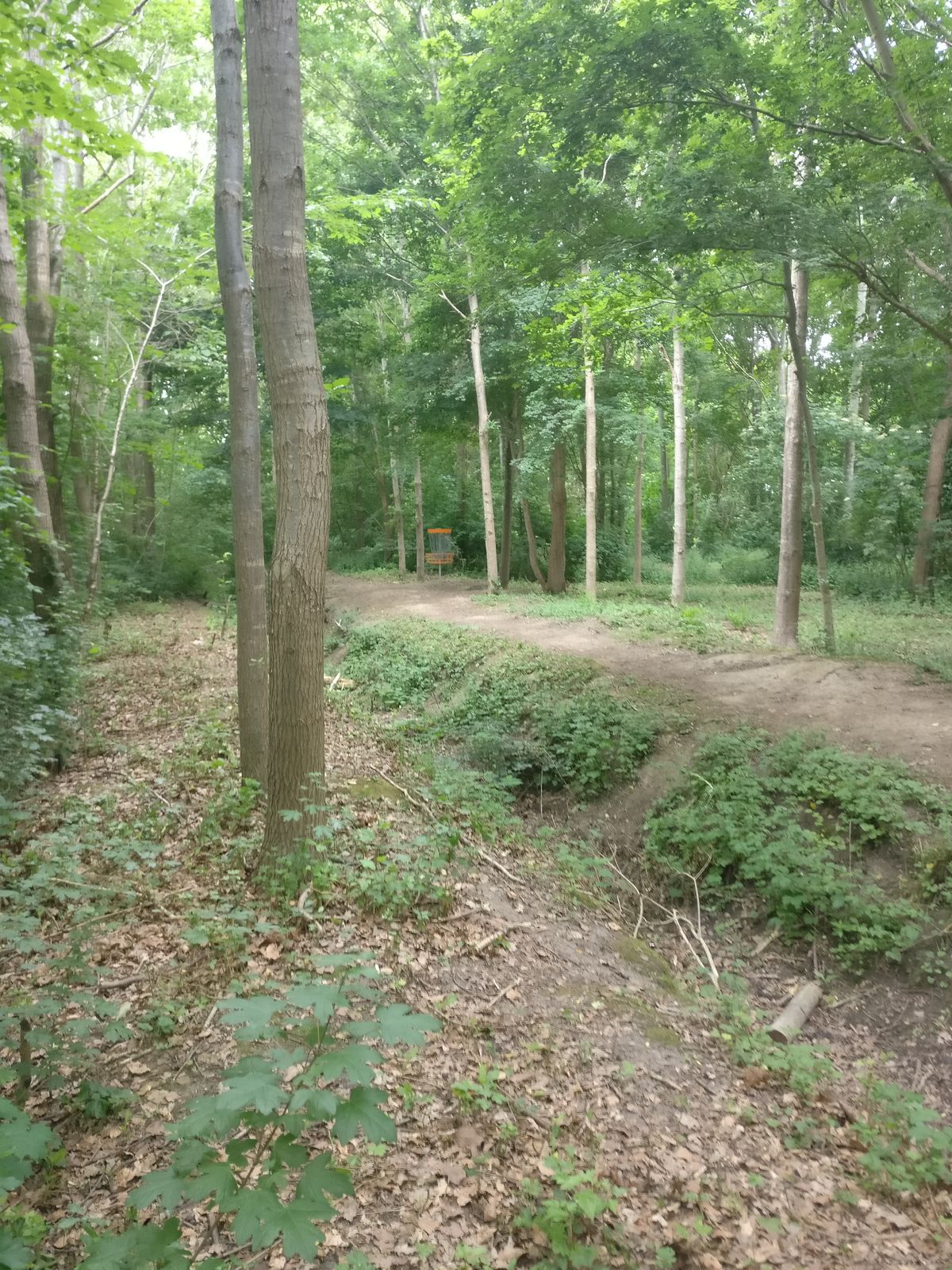 Hole 1