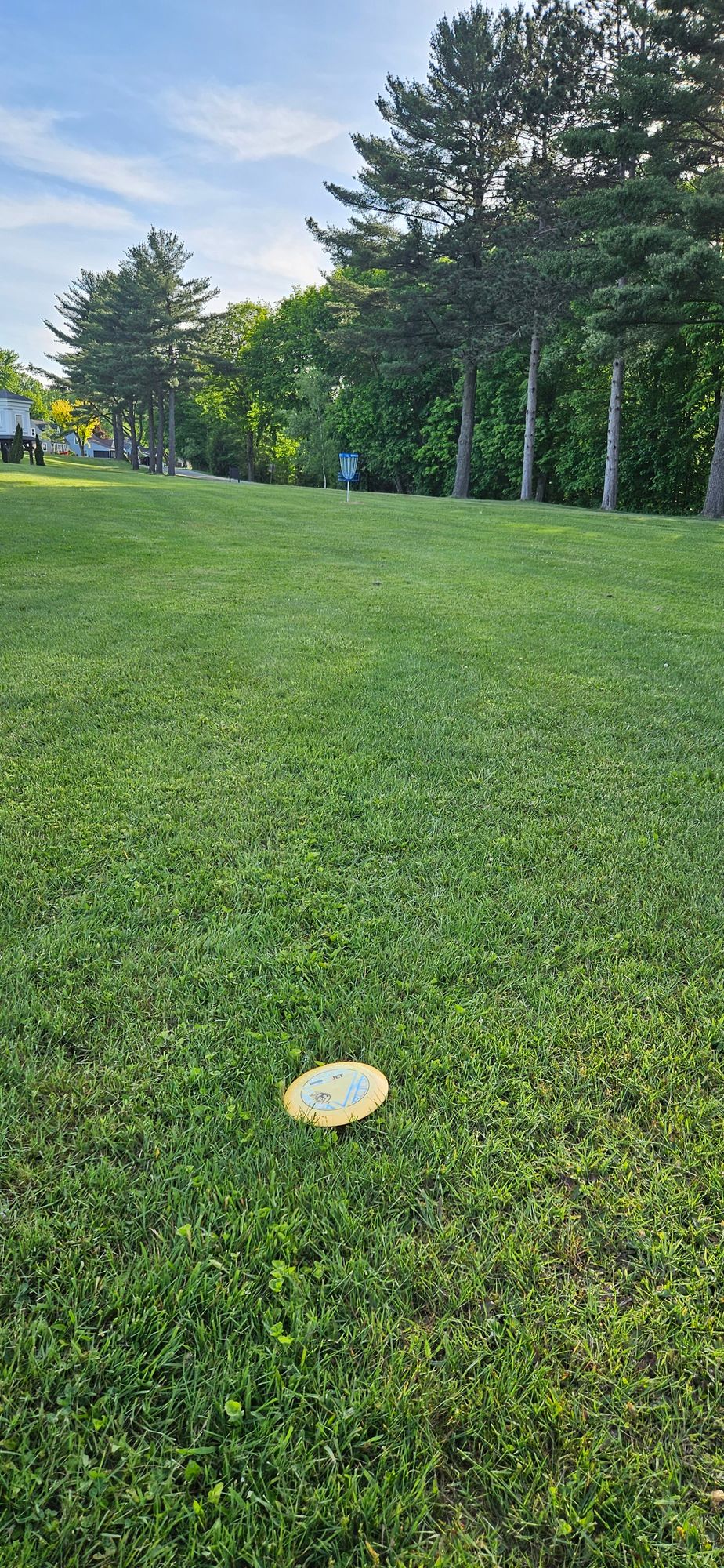 View towards hole 8's basket, from about 220 ft. out. 