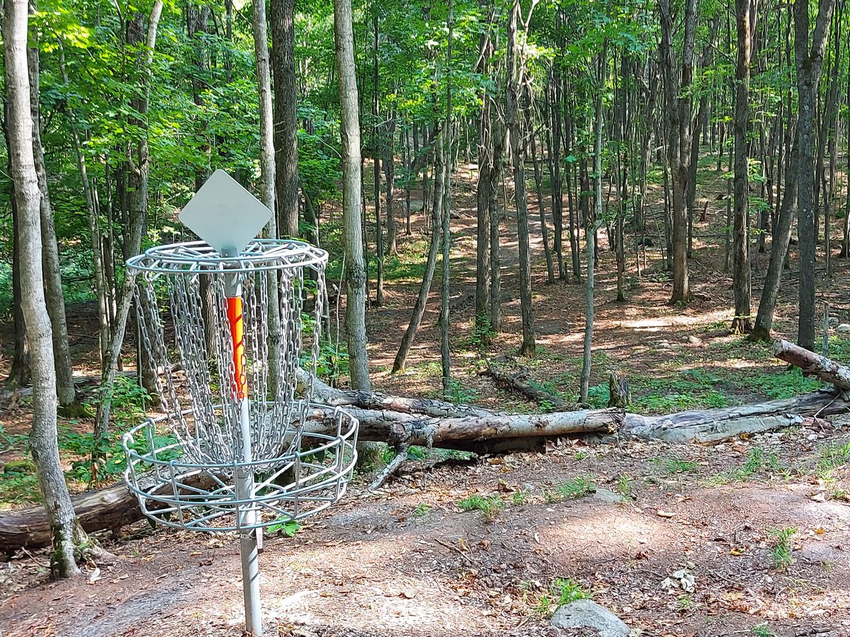 Reverse back up the fairway on hole 16.🪵🍁🪵🍁