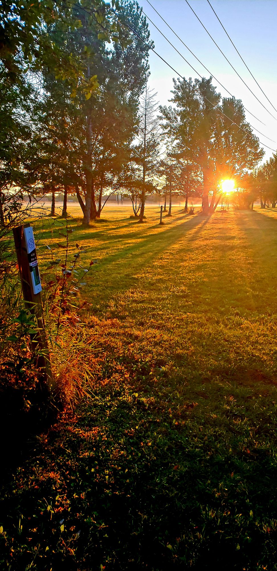 Sunrise pushing through the trees just ahead of tee #8