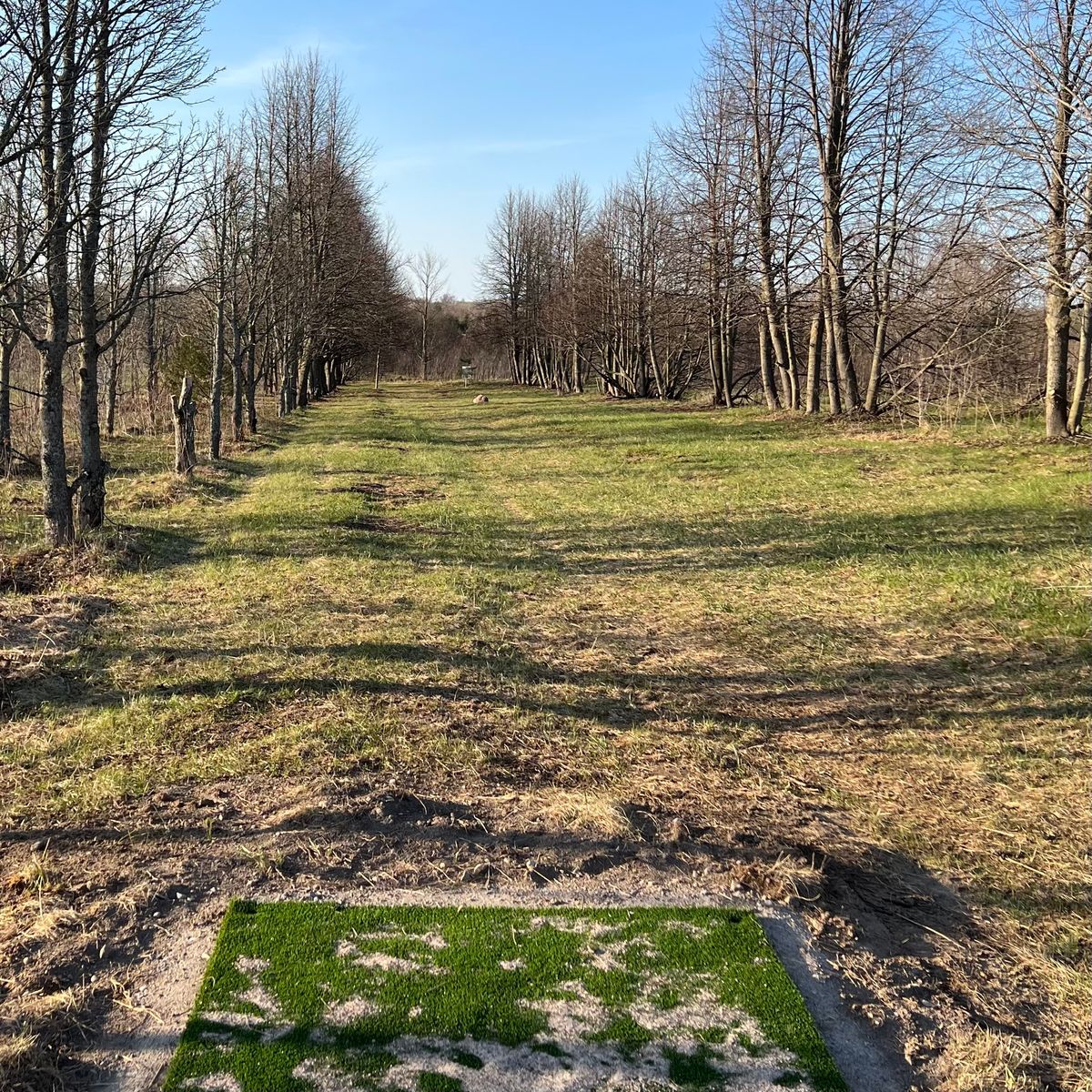 When the leaves come in this tunnel of trees will seem very narrow to the long white basket, hole 4.