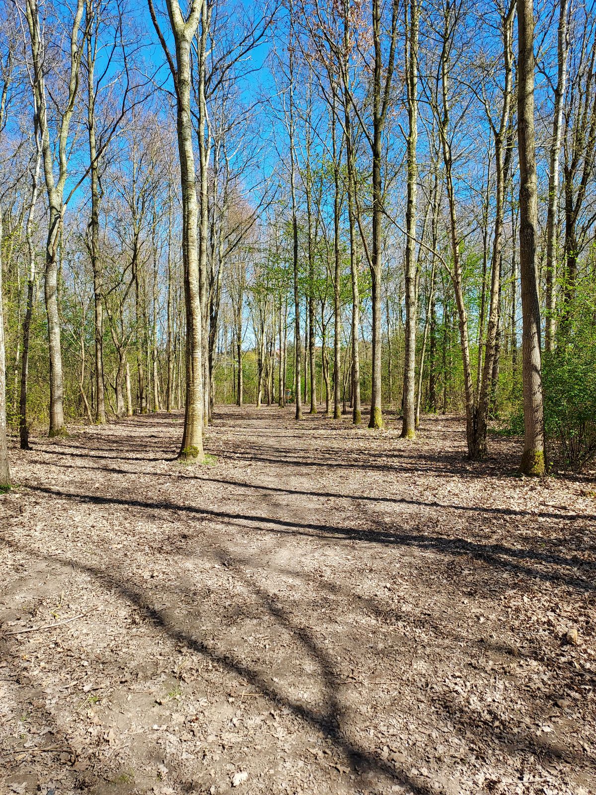 Fairway hole 16