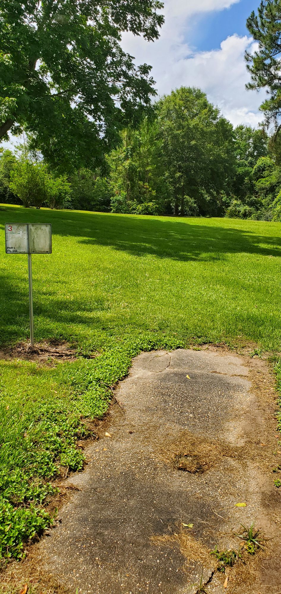 Tee #3