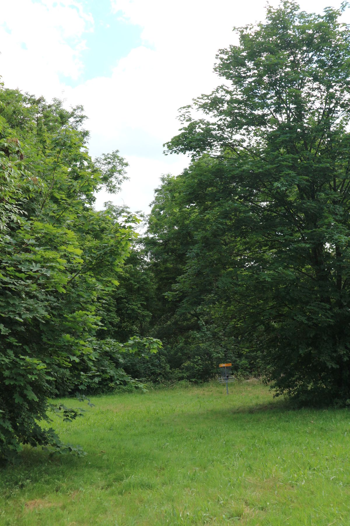 Basket from hole 6