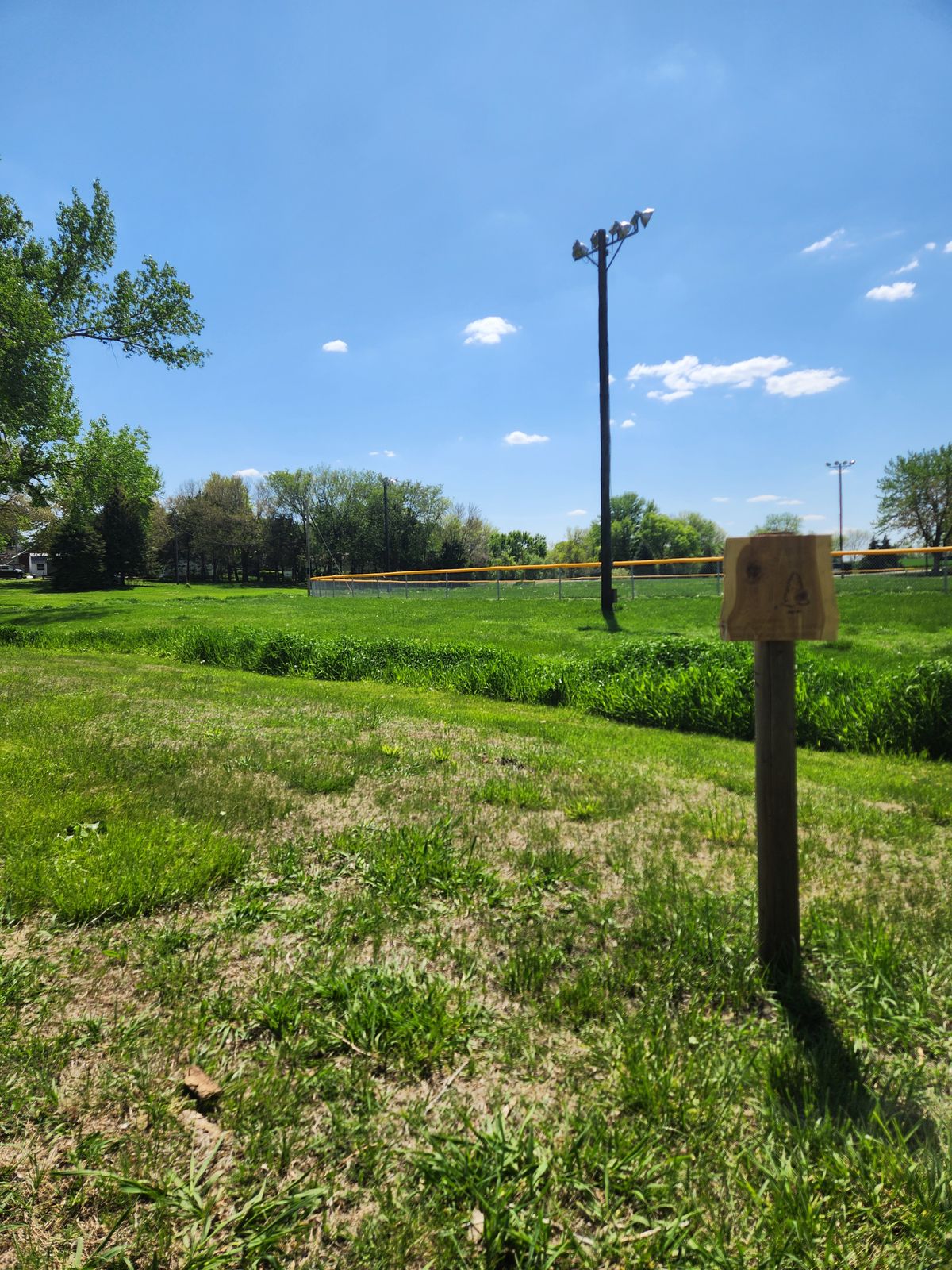 Hole 3 Tee