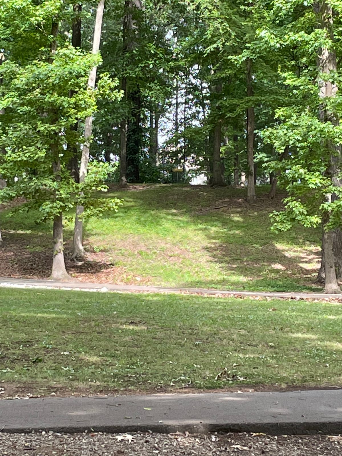 Hole 6