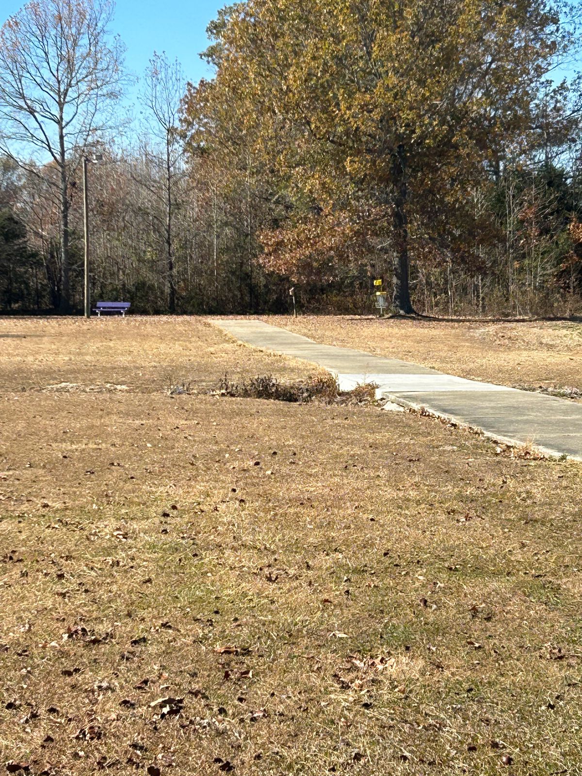 Hole 12 basket