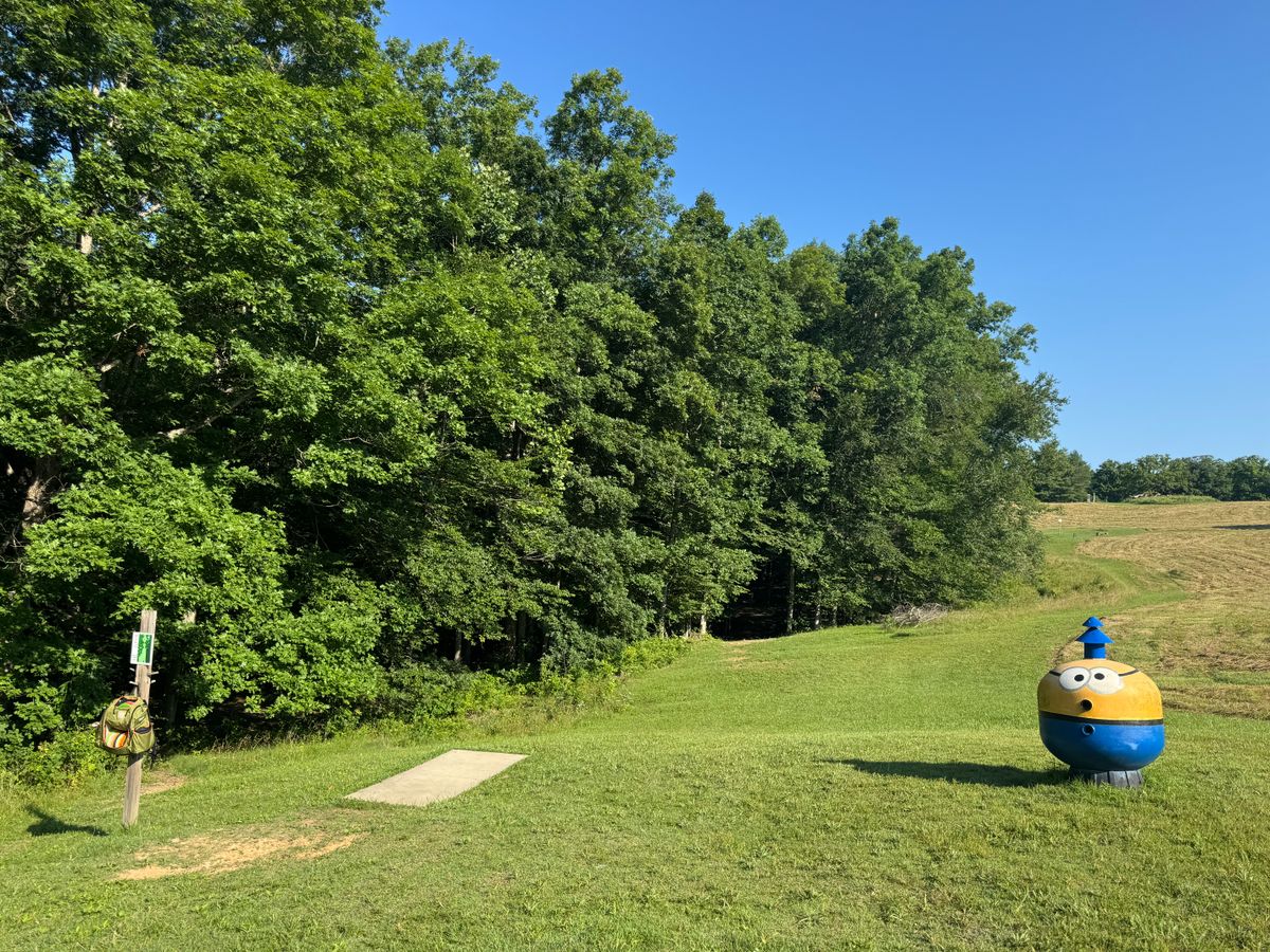 Short shot on #17 starts in a beautiful open field and finishes back into that little wooded tunnel.