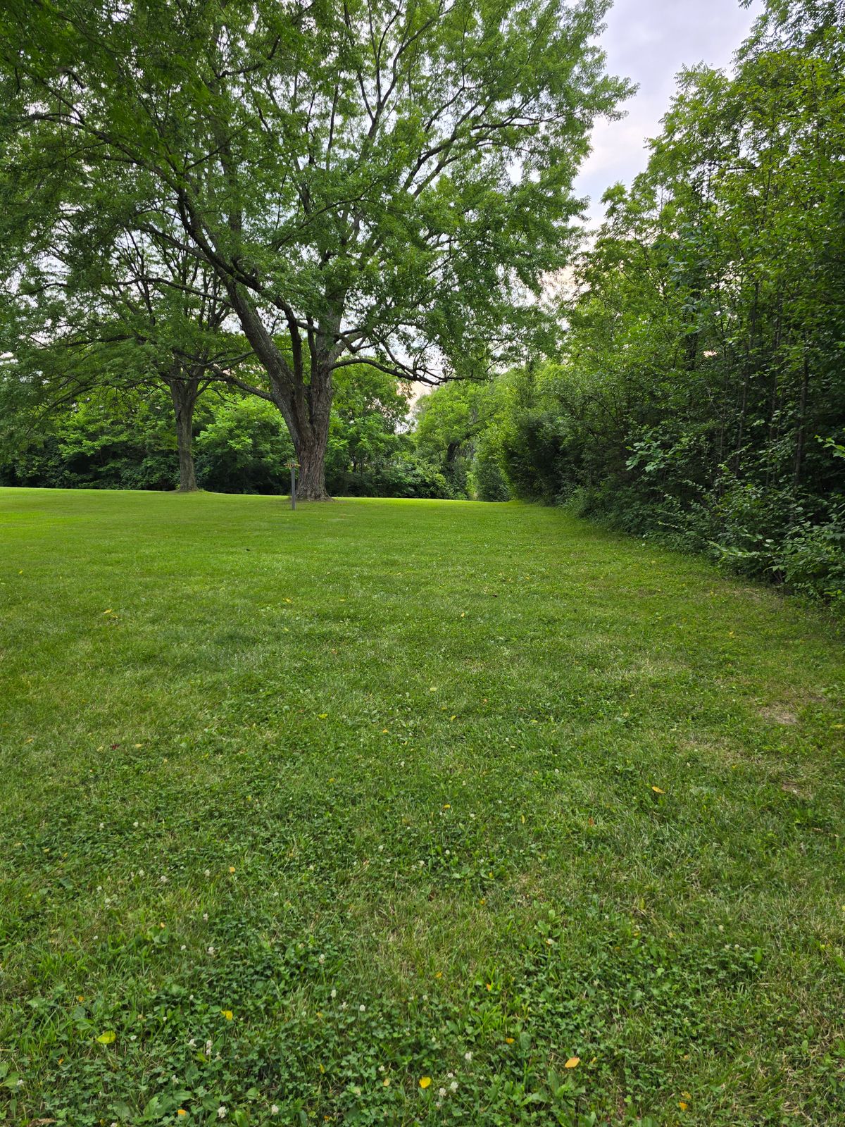 Hole 11 tee shot. Line needs cleaned up.h
