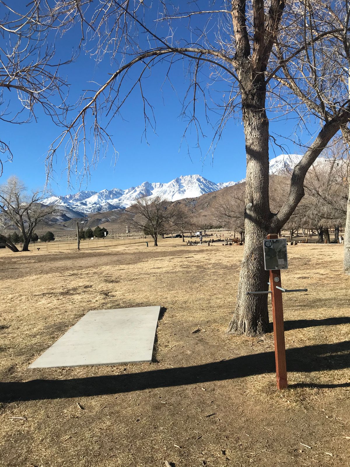 Tee pad 15