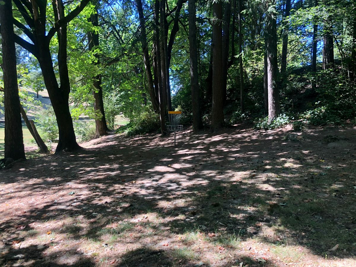 Hole 6 basket