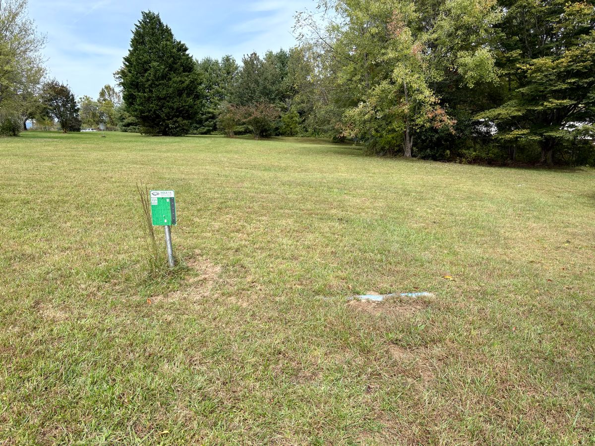 Hole 15 tee