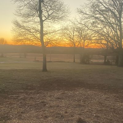 Hole 8