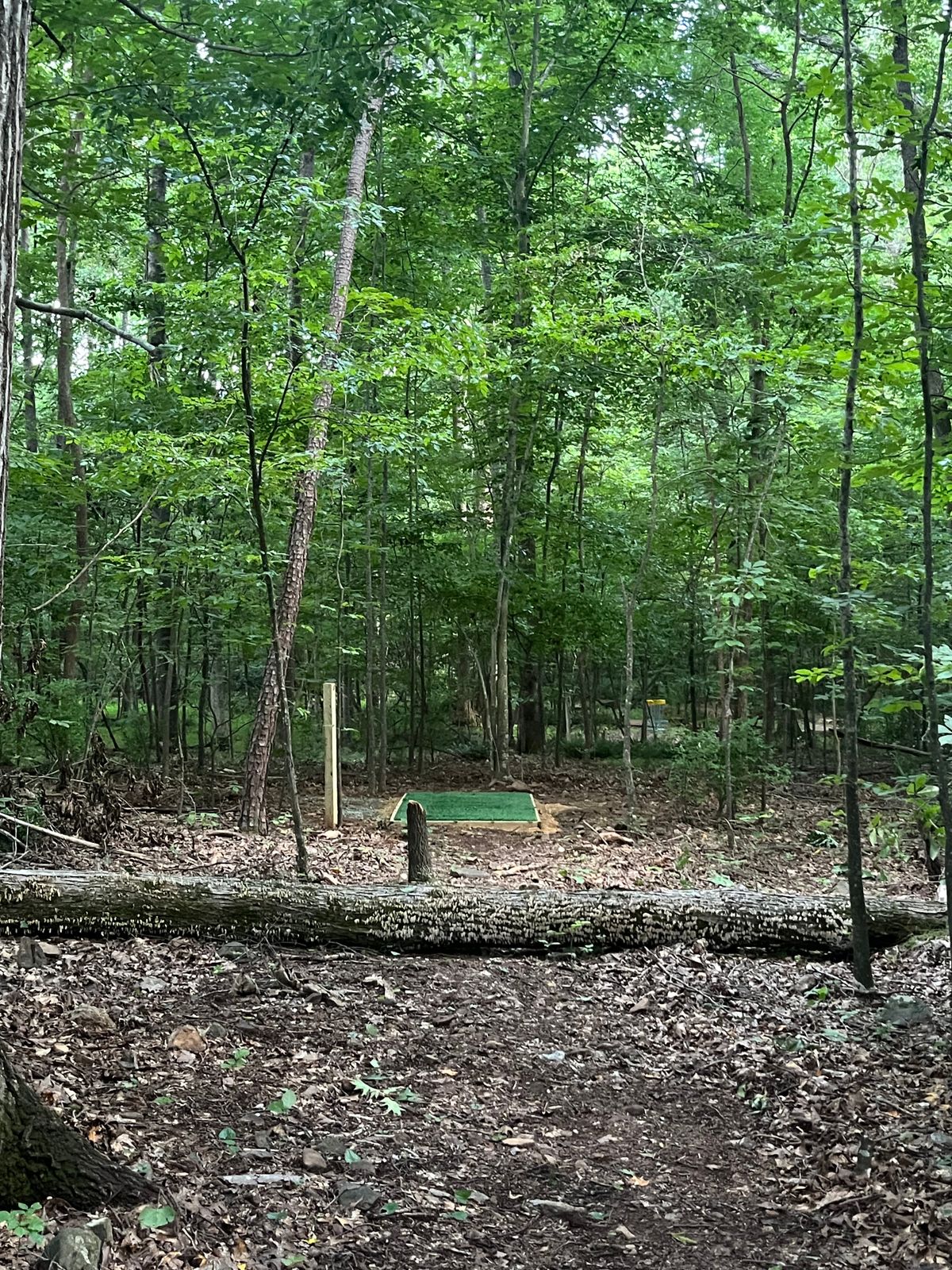 Teepad on Hole 6