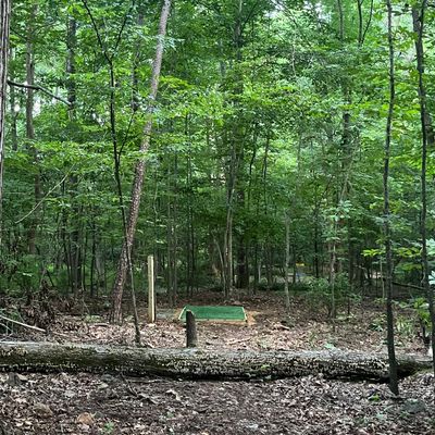 Teepad on Hole 6
