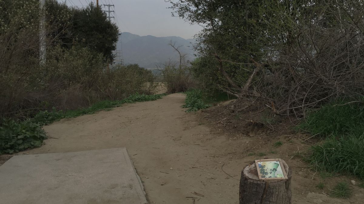 Hole 9