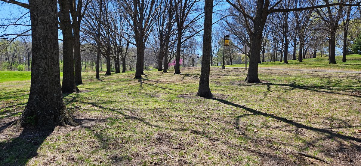 Hole 11 Tee