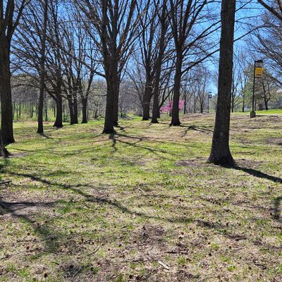 Hole 11 Tee