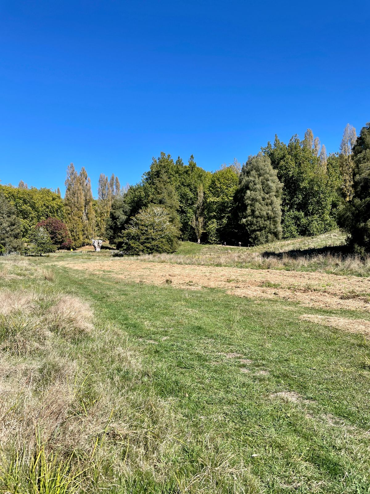 Hole 4