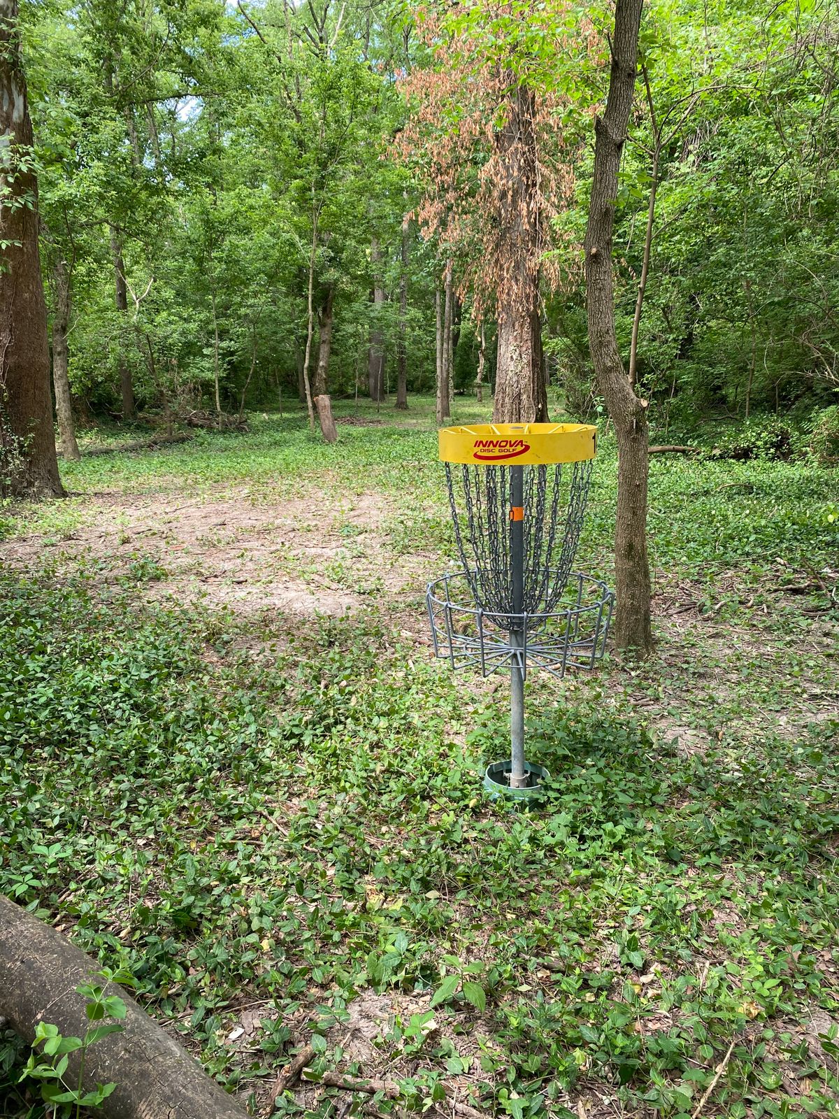 Hole 14 (Reverse)