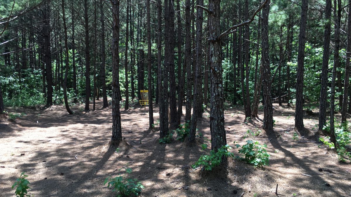 Hole 2