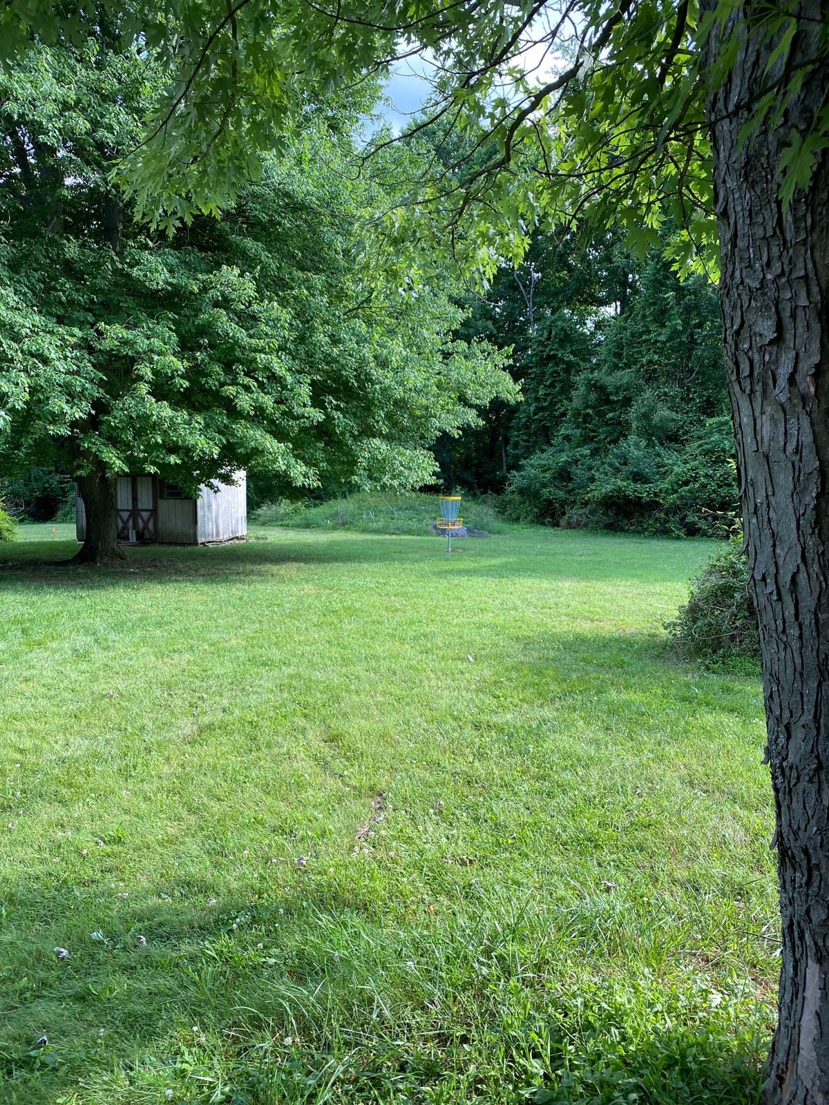 Hole 1 Basket