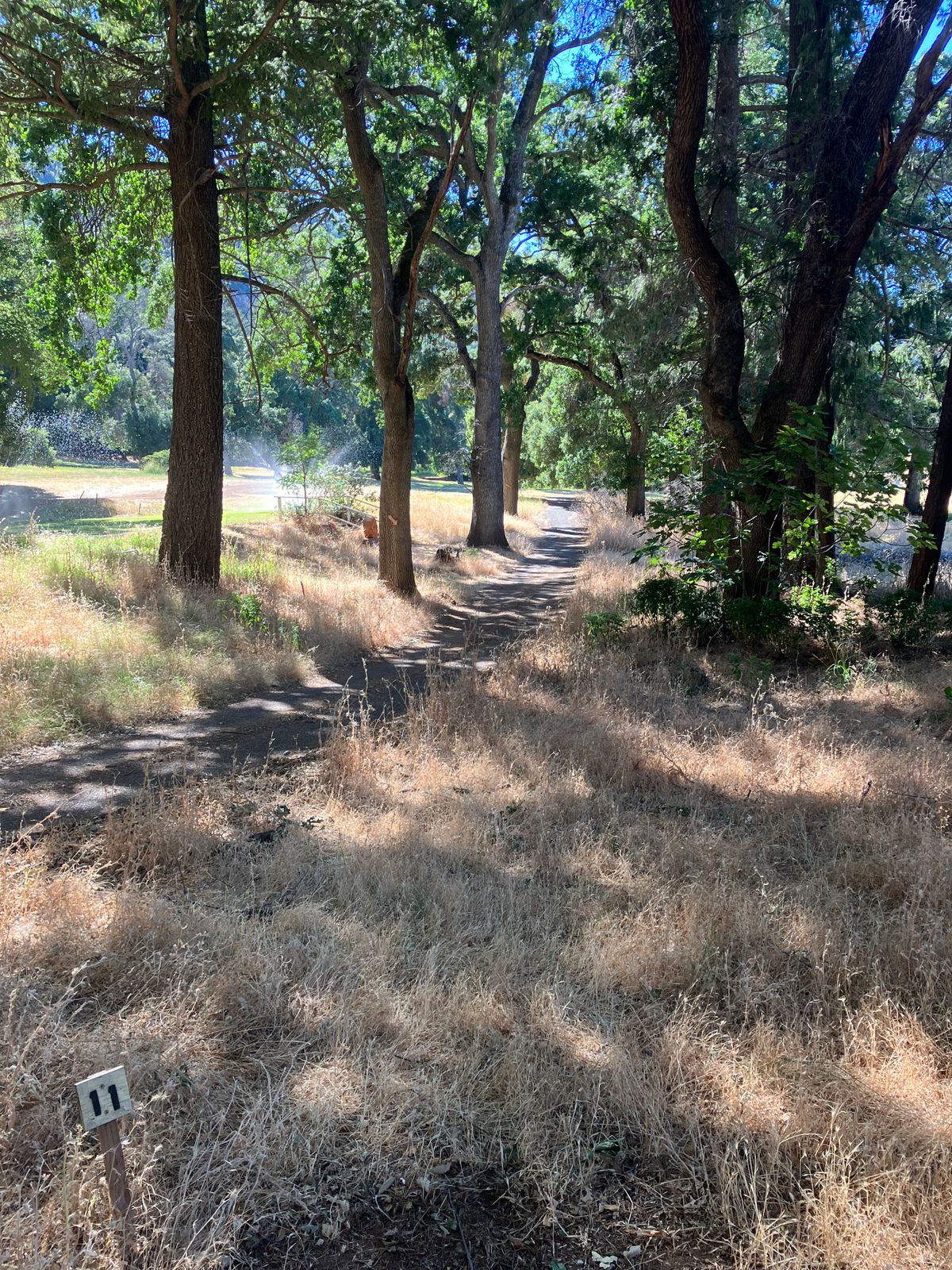 hole 11