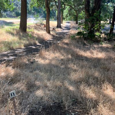 hole 11